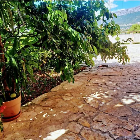 Floral Retreat * Spalato