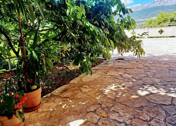 Floral Retreat * Spalato