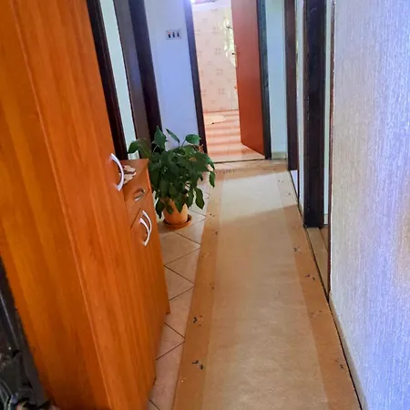 Apartment Floral Retreat Split