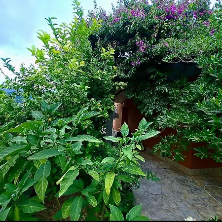 Floral Retreat Apartman *